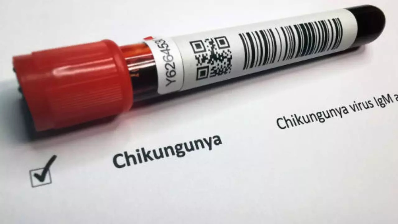 from-joint-pain-to-brain-strain:-chikungunya’s-scary-new-symptoms-rise-in-mumbai